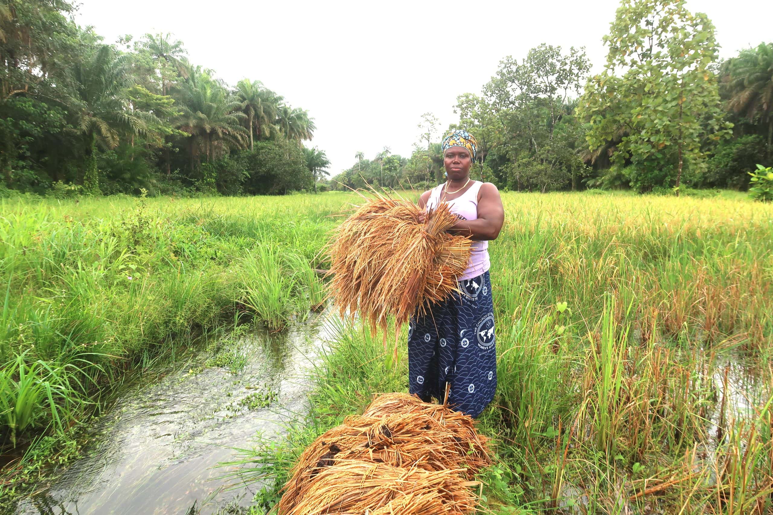 Hongermaanden in Sierra Leone